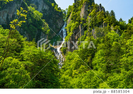 北海道層雲峡　銀河・流星の滝　～銀河の滝～ 88585304