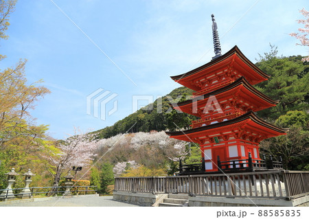 清水寺 子安の塔(国重要文化財) 【京都市東山区】 清水寺 子安の塔(国重要文化財) 【京都市東山区】 88585835