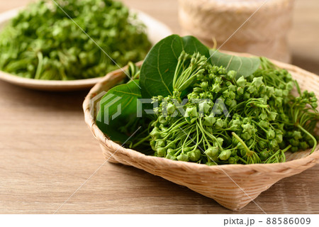 Dregea volubilis flower in bamboo basket, Edible flower  Dregea volubilis flower in bamboo basket, Edible flower  88586009