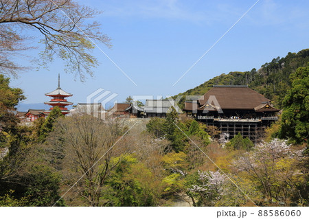 清水寺 桜 【京都市東山区】 清水寺 桜 【京都市東山区】 88586060
