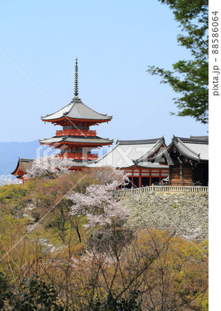 清水寺 桜 【京都市東山区】 清水寺 桜 【京都市東山区】 88586064
