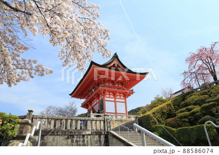 清水寺 桜 【京都市東山区】 清水寺 桜 【京都市東山区】 88586074