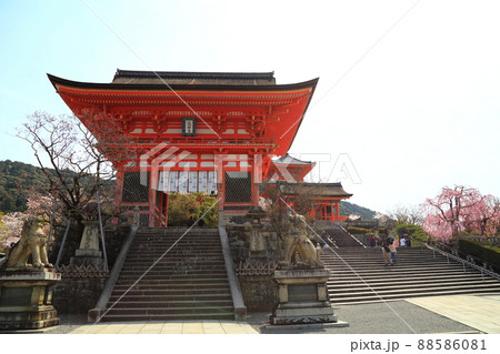 清水寺 桜 【京都市東山区】 清水寺 桜 【京都市東山区】 88586081