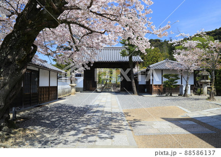 清水寺(北総門・国重要文化財)桜 【京都市東山区】 清水寺(北総門・国重要文化財)桜 【京都市東山区】 88586137