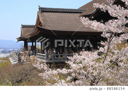 清水寺 本堂(国宝)桜 【京都市東山区】 清水寺 本堂(国宝)桜 【京都市東山区】 88586154