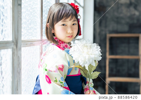 和服を着た女の子 記念写真 ハーフ成人式 七五三 写真館 和服を着た女の子 記念写真 ハーフ成人式 七五三 写真館 88586420