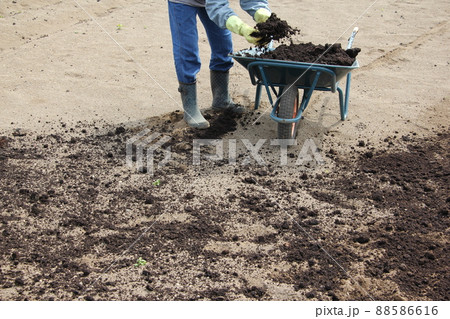 畑に肥しをまく 88586616