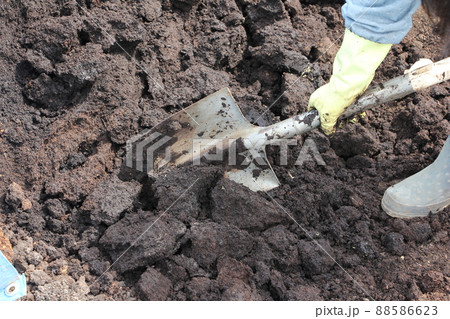 肥し 肥し 88586623