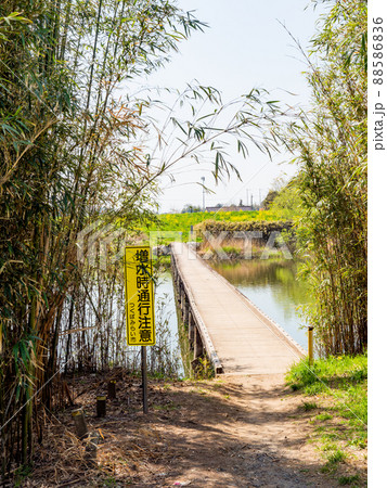 関東では珍しい沈下橋 小貝川 小目沼橋の春景色 関東では珍しい沈下橋 小貝川 小目沼橋の春景色 88586836