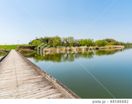 関東では珍しい沈下橋　小貝川　小目沼橋の春景色　 88586882