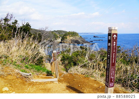 南伊豆　タライ岬遊歩道　タライ岬から海岸コースへ 88588025
