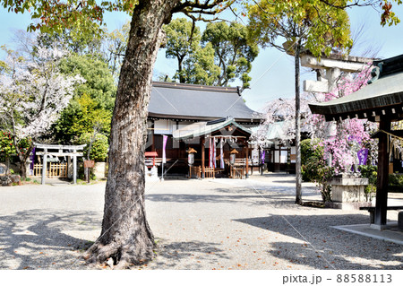 三輪坐恵比須神社 【奈良県桜井市】 三輪坐恵比須神社 【奈良県桜井市】 88588113