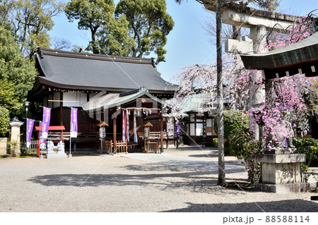 三輪坐恵比須神社 【奈良県桜井市】 三輪坐恵比須神社 【奈良県桜井市】 88588114