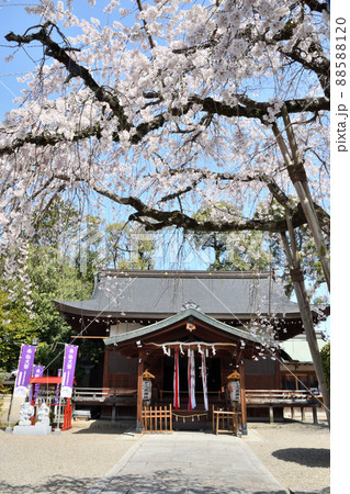 三輪坐恵比須神社　【奈良県桜井市】 88588120