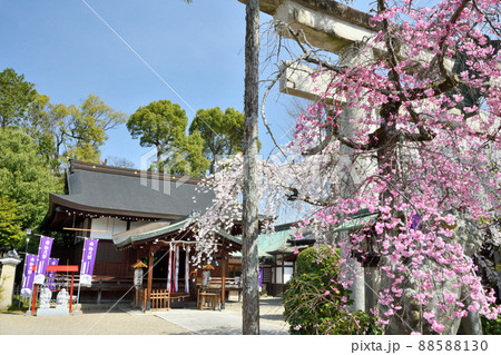 三輪坐恵比須神社 【奈良県桜井市】 三輪坐恵比須神社 【奈良県桜井市】 88588130