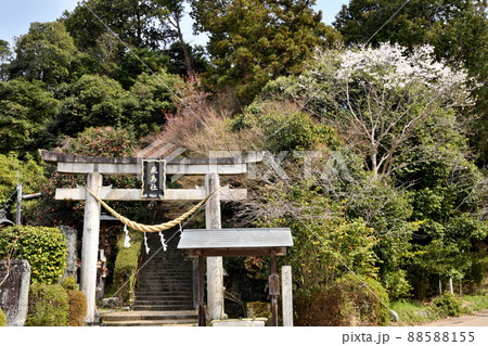 飛鳥坐神社(鳥居) 【奈良県明日香村】 飛鳥坐神社(鳥居) 【奈良県明日香村】 88588155