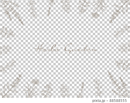 Line art herb frame 88588555