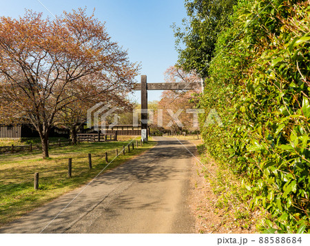 春の景色　茨城県　逆井城跡公園 88588684