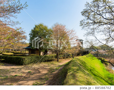 春の景色　茨城県　逆井城跡公園 88588702