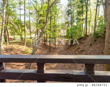 春の景色　茨城県　逆井城跡公園 88588741