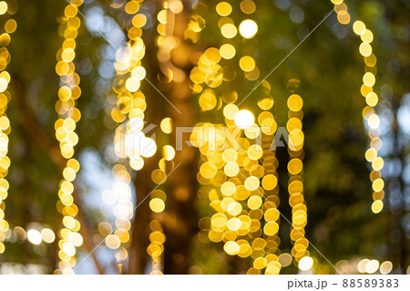 Blur Image Decorative outdoor string lights hanging on tree in the garden at night time 88589383