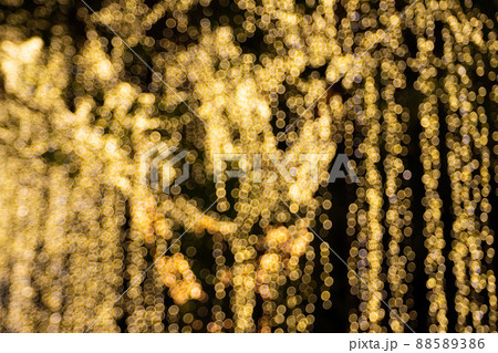 Blur Image Decorative outdoor string lights hanging on tree in the garden at night time 88589386