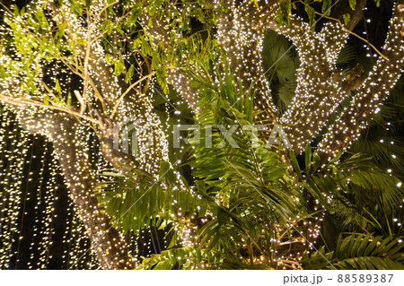 Blur Image Decorative outdoor string lights hanging on tree in the garden at night time 88589387