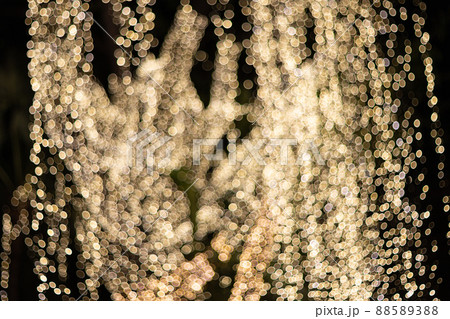 Blur Image Decorative outdoor string lights hanging on tree in the garden at night time 88589388
