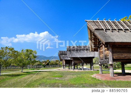 佐賀県 吉野ヶ里歴史公園 佐賀県 吉野ヶ里歴史公園 88590705