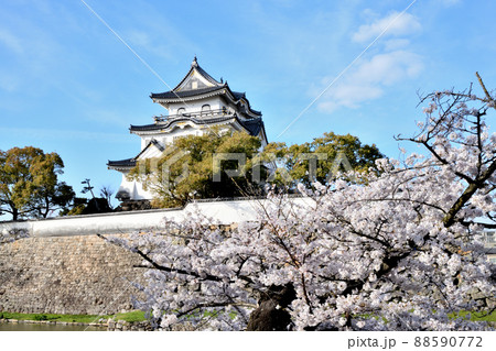 岸和田城 【大阪府岸和田市】 岸和田城 【大阪府岸和田市】 88590772