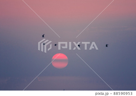 The landscape on a clear sky day will see a beautiful sunset slowly sliding down above the sea surface. It's a beautiful sight to see. The landscape on a clear sky day will see a beautiful sunset slowly sliding down above the sea surface. It's a beautiful sight to see. 88590953