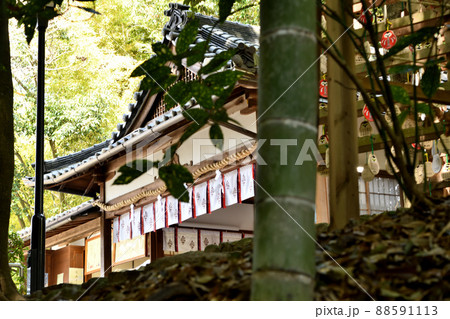 久延彦神社(社殿)　【奈良県桜井市三輪】 88591113