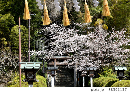 久延彦神社(鳥居) 【奈良県桜井市三輪】 久延彦神社(鳥居) 【奈良県桜井市三輪】 88591137