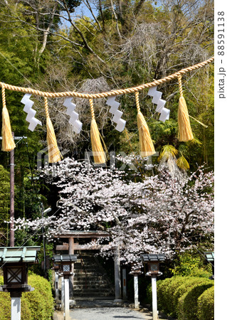 久延彦神社(鳥居)　【奈良県桜井市三輪】 88591138