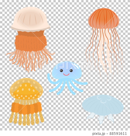 Jellyfish illustration set 88591611