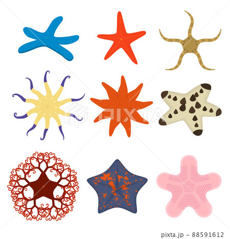 ヒトデのイラストセット ヒトデのイラストセット 88591612