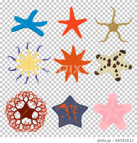 ヒトデのイラストセット ヒトデのイラストセット 88591612