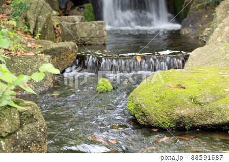 庭園の水流 88591687