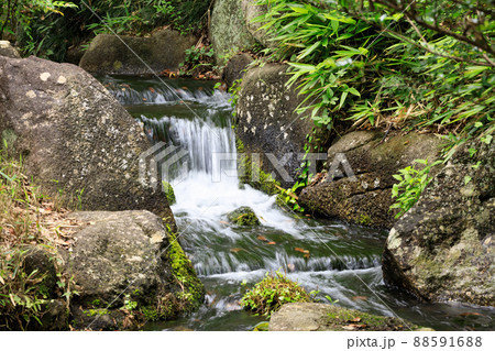庭園の水流 庭園の水流 88591688