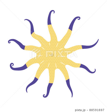ニチリンヒトデのイラスト 88591697