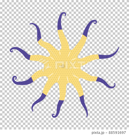 向日葵海星的插圖 88591697