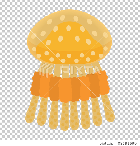 斑點水母的插圖 88591699