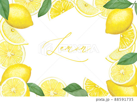 爽やかなレモンのフレーム 爽やかなレモンのフレーム 88591735