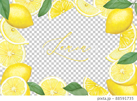爽やかなレモンのフレーム 爽やかなレモンのフレーム 88591735