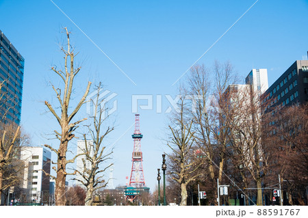 札幌　春の大通公園とテレビ塔 88591767