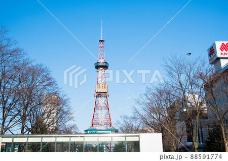 札幌　春の大通公園とテレビ塔 88591774