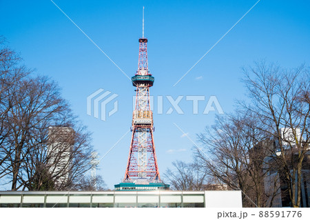 札幌　春の大通公園とテレビ塔 88591776