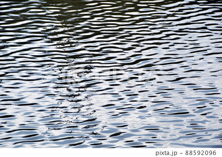 水面の波紋 88592096