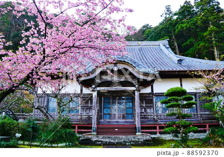 伊豆 松崎町 清水山浄泉寺 伊豆 松崎町 清水山浄泉寺 88592370