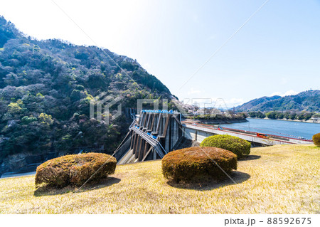神奈川県　春の城山ダム　津久井湖 88592675
